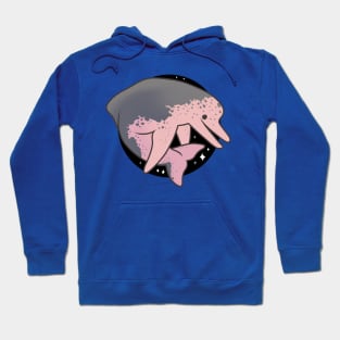 Amazon River Dolphin Hoodie